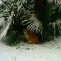 Nevicata su giovinazzo