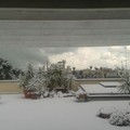 Nevicata su giovinazzo