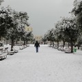 Giovinazzo sotto la neve