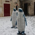 Giovinazzo sotto la neve