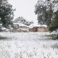 L'agro di Giovinazzo imbiancato