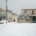 L'agro di Giovinazzo imbiancato