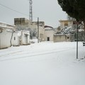 L'agro di Giovinazzo imbiancato