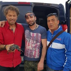 La piccola tartaruga