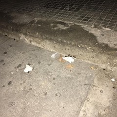 Emergenza blatte in via Dalmazia e piazza Kennedy