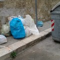 Rifiuti novembrini