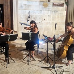Il Trio Vernè