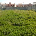 Il campo sportivo Raffaele De Pergola