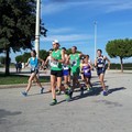 Record di partecipanti al 19° Trofeo Puglia di Marcia