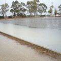 campo03