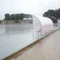 campo04