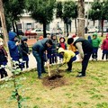 carrubo2 1