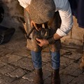 Il maniscalco