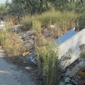 Rifiuti vicino Torre Arsa