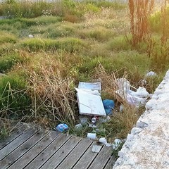 Rifiuti ed erbacce per l'accesso al mare