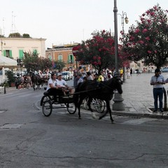 Sfilata di carrozze, cavalli e traini 2016