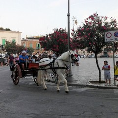 Sfilata di carrozze, cavalli e traini 2016