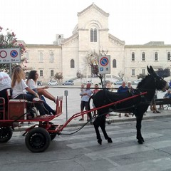 L'intruso...