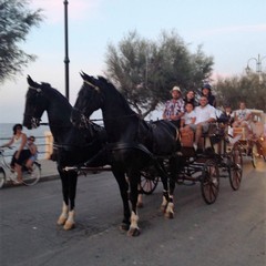 Sfilata di carrozze, cavalli e traini 2016
