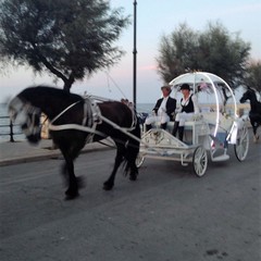 Sfilata di carrozze, cavalli e traini 2016