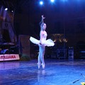 "Campioni di Ballo – Artisti in Scena"
