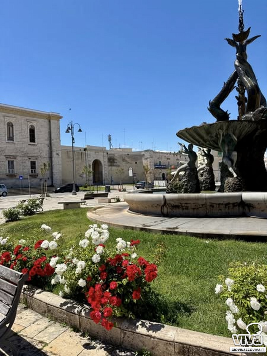 Rosa nei pressi della Fontana dei Tritoni
