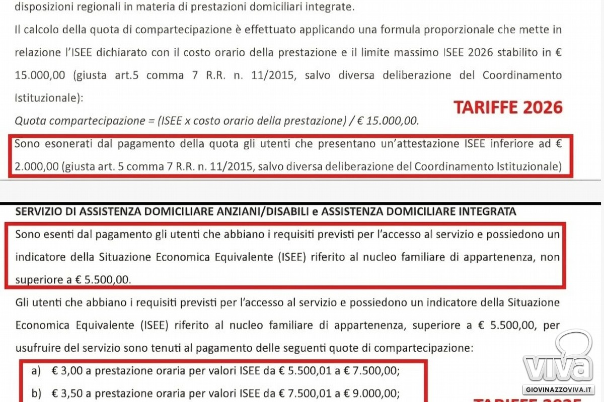 Delibera assistenza domiciliare