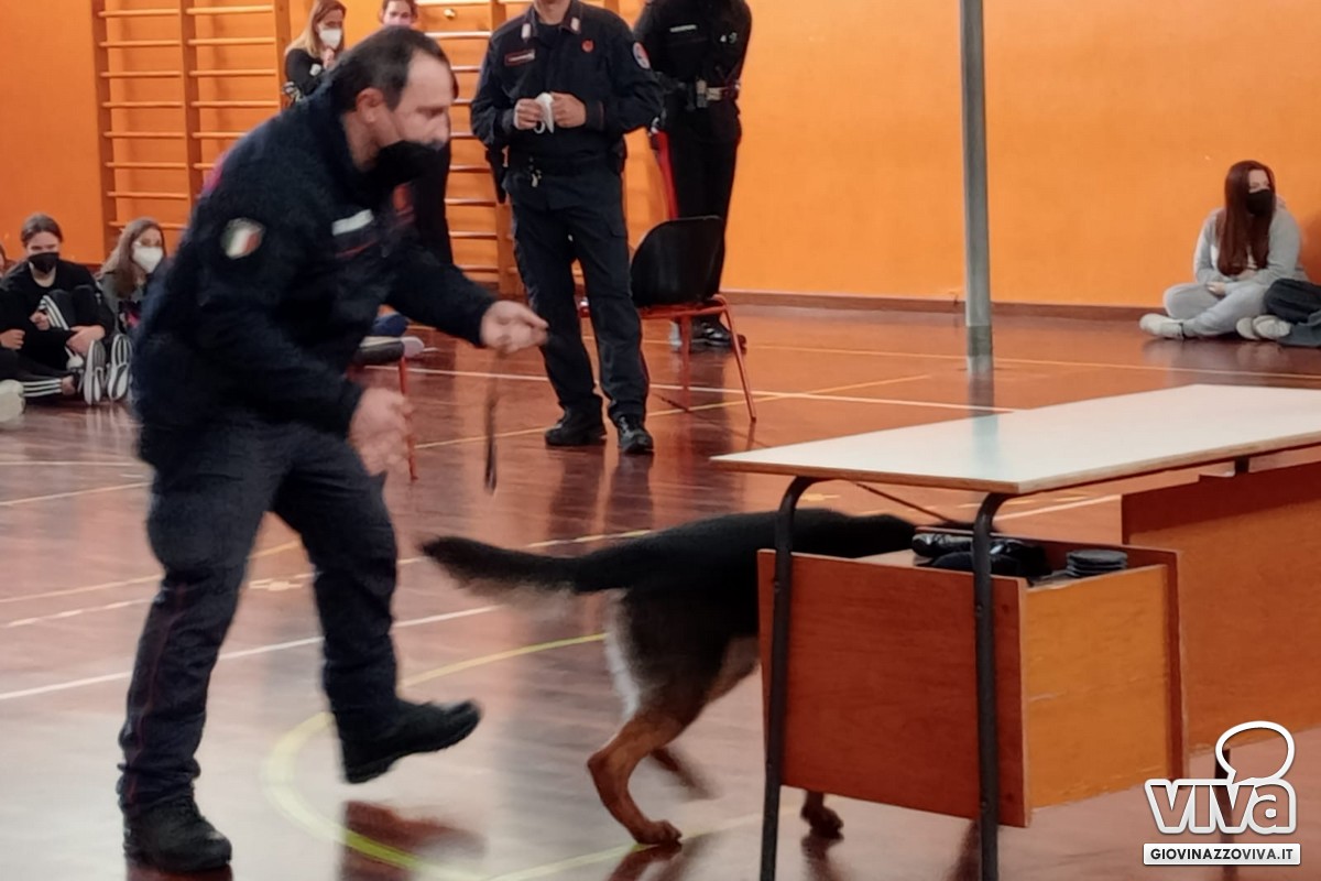 Unità cinofile a scuola