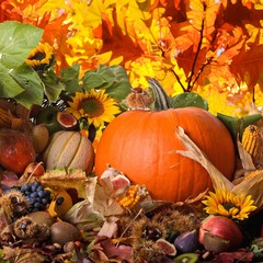 Alimenti d'autunno