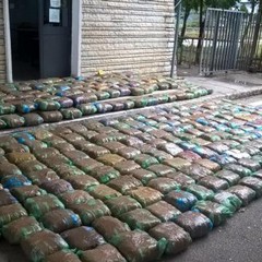 Un mare di droga dall'Albania: 37 arresti. Blitz anche a Giovinazzo