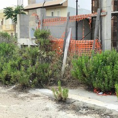 Azzollini lascia Giovinazzo: «Costretti a lavorare tra rovi e discariche»