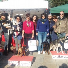 La premiazione della Maratona a 6 zampe