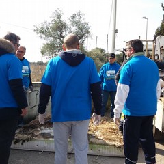 Pronti per caricare il materasso sul camion