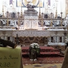 Primo piano in Concattedrale di Santa Maria Assunta