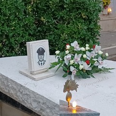 36° anniversario morte Luciano Pignatelli