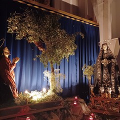 Giovedì Santo 2025 - Repositori e allestimenti