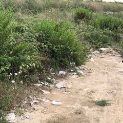 Azzollini lascia Giovinazzo: «Costretti a lavorare tra rovi e discariche»