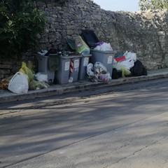 L'abbandono selvaggio dei rifiuti