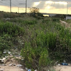 Azzollini lascia Giovinazzo: «Costretti a lavorare tra rovi e discariche»