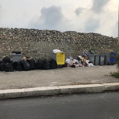 L'abbandono selvaggio dei rifiuti