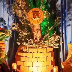 Altari della Reposizione Giovinazzo