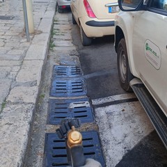 Pulizia strade e manutenzione verde