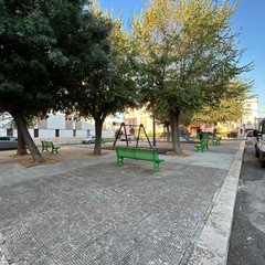 Pulizia strade e manutenzione verde