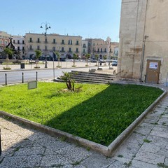 Pulizia strade e manutenzione verde