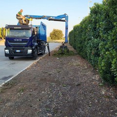 Pulizia strade e manutenzione verde