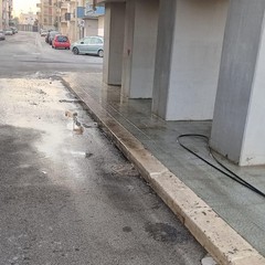 Pulizia strade e manutenzione verde