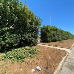 Pulizia strade e manutenzione verde