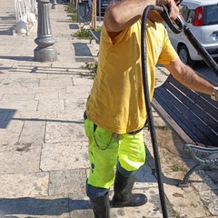 Pulizia strade e manutenzione verde