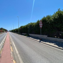 Pulizia strade e manutenzione verde