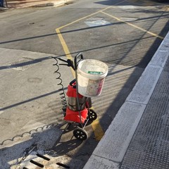 Pulizia strade e manutenzione verde